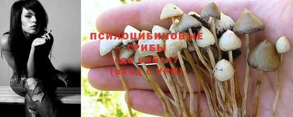 mix Алексин