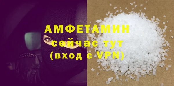 стаф Алзамай