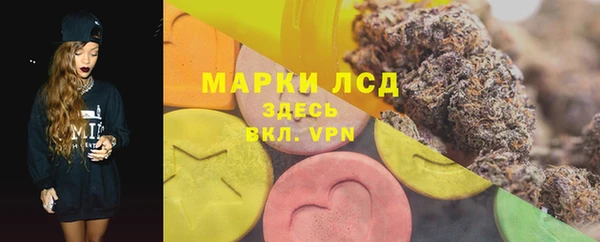 стаф Алзамай
