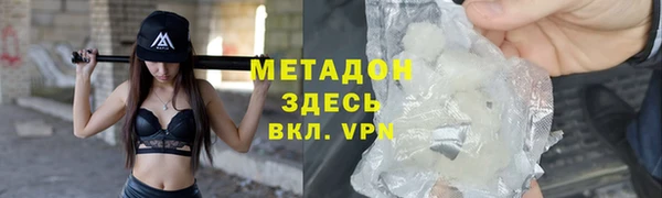 стаф Алзамай