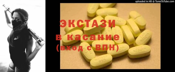 стаф Алзамай