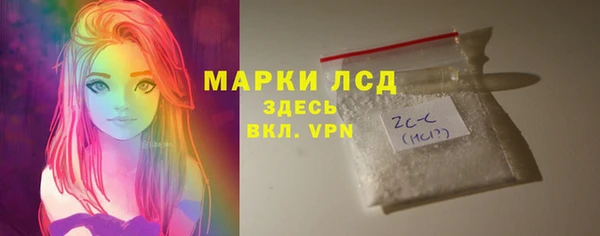 стаф Алзамай