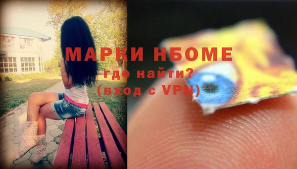 стаф Алзамай