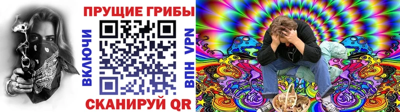 маркетплейс официальный сайт  как найти закладки  Березники  Галлюциногенные грибы MAGIC MUSHROOMS  hydra вход 